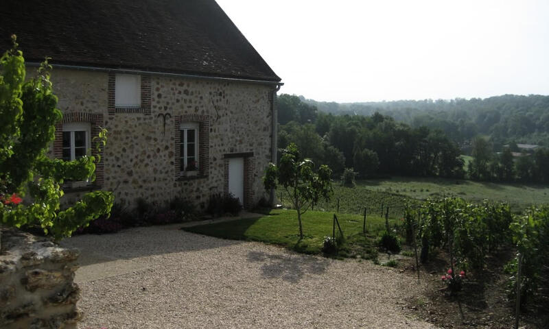 Gîte de France Les vignes 3 épis - - Baye - 9