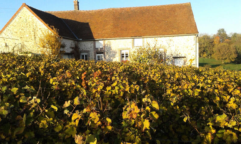 Gîte de France Les vignes 3 épis - - Baye - 12
