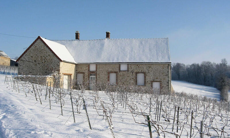 Gîte de France Les vignes 3 épis - - Baye - 8