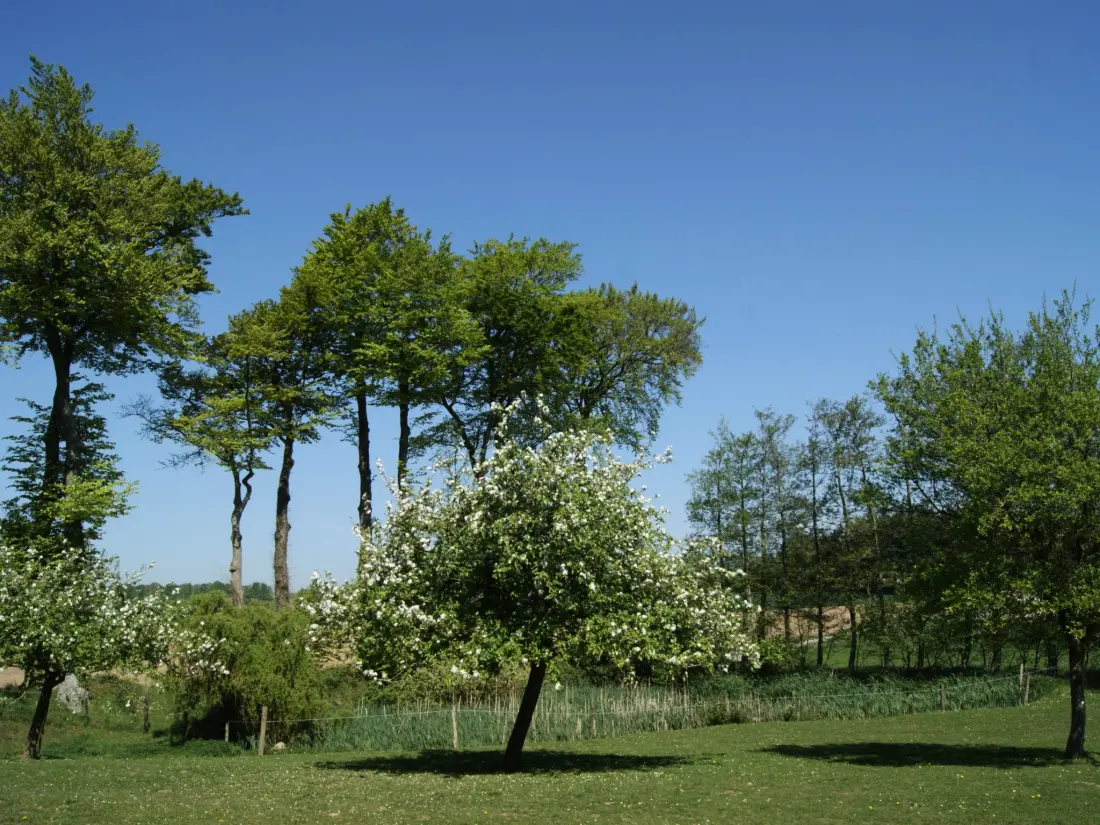 Maison de Vacances Bec de Mortagne