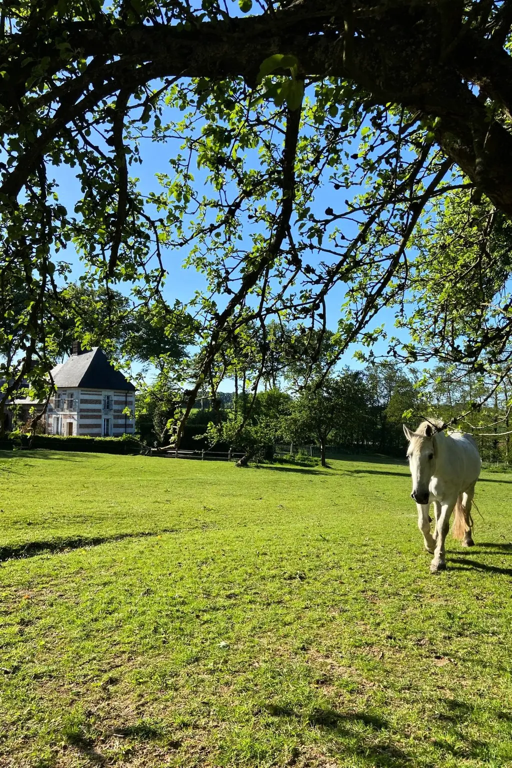 Maison de Vacances Bec de Mortagne
