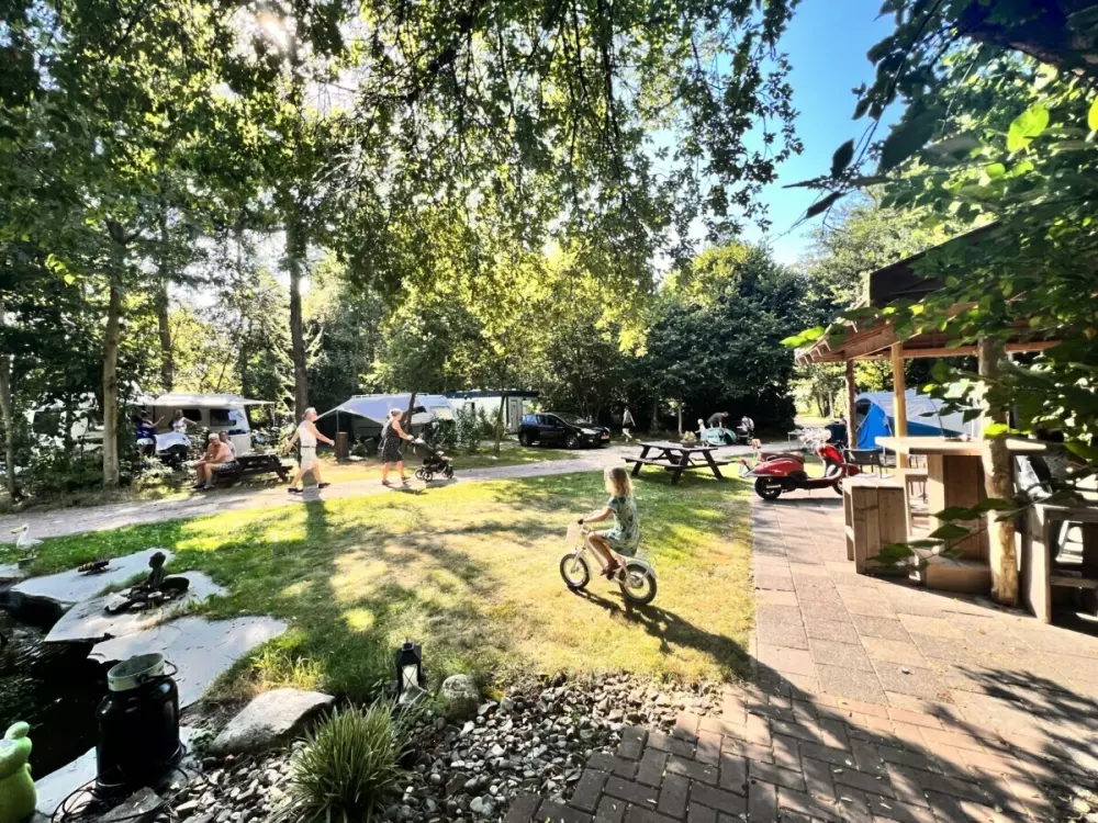 Camping de Beerte (Vodatent)