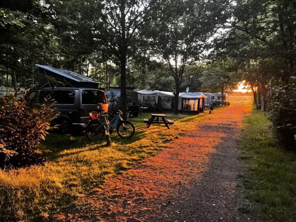 Camping de Beerte (Vodatent)