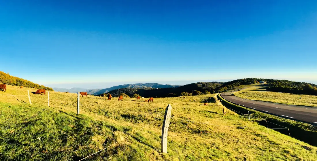 Camping L'Etang des Forges3 étoiles★★★