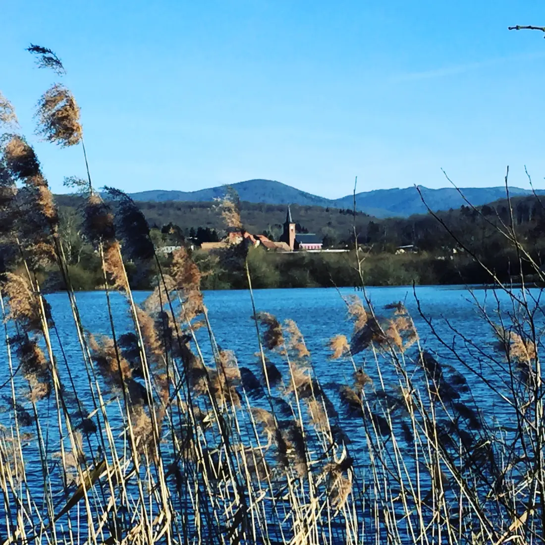 Camping L'Etang des Forges3 étoiles★★★