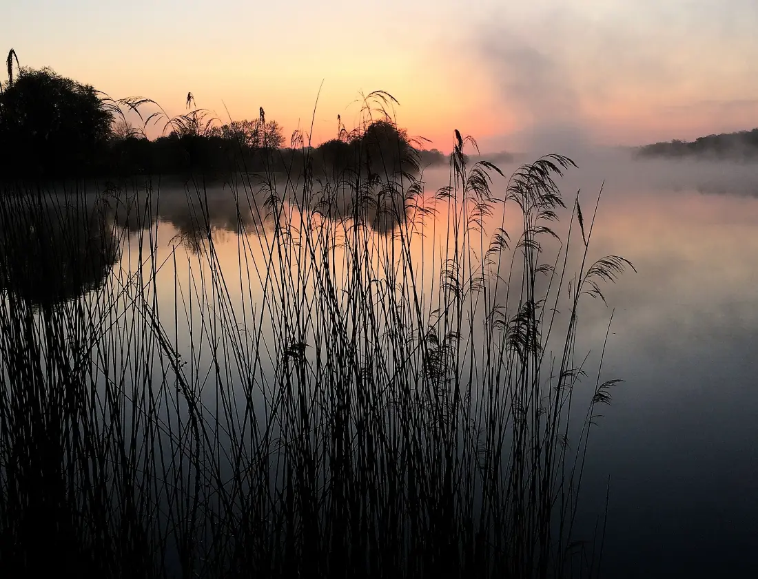 Camping L'Etang des Forges3 étoiles★★★