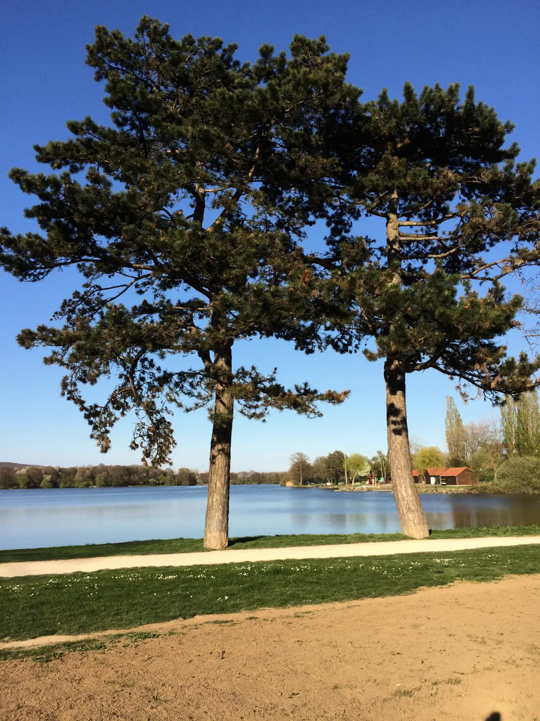 Camping L'Etang des Forges3 étoiles★★★