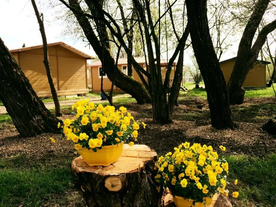 Camping L'Etang des Forges3 étoiles★★★