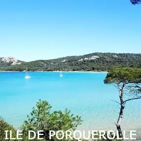 Flower Camping les Tomasses 4 étoiles★★★★