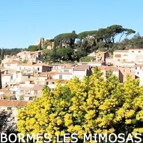 Flower Camping les Tomasses 4 étoiles★★★★