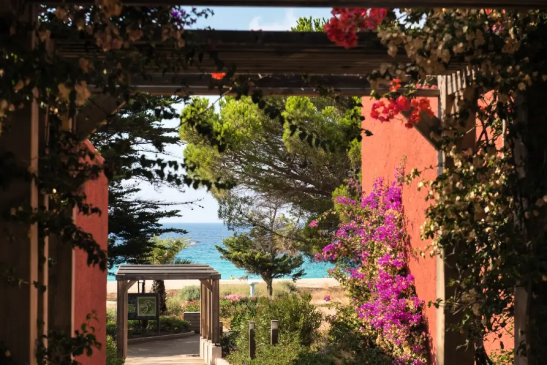 Belambra Clubs et Résidence Belgodère - Golfe De Lozari