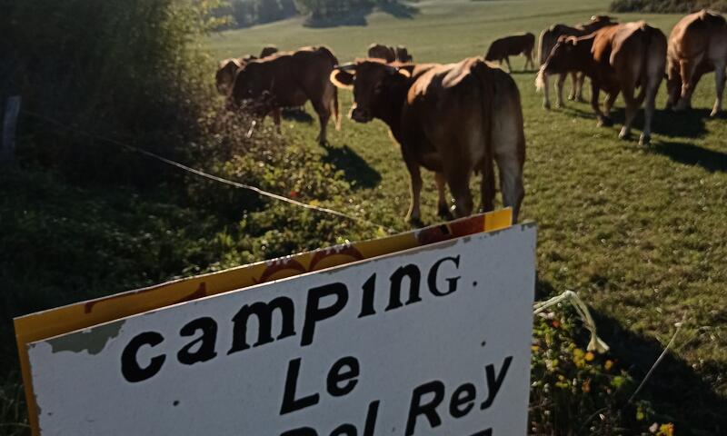 France - Pyrénées - Belloc - Camping le Roc del Rey 2*