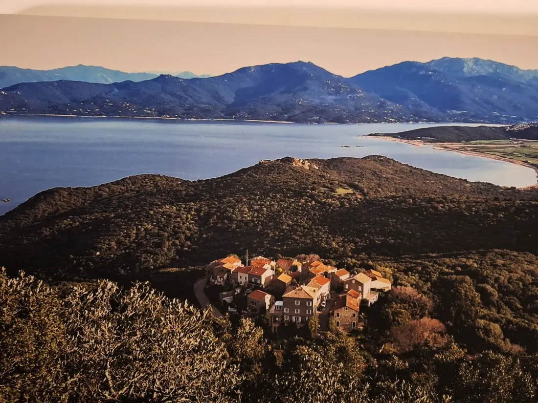 Résidence Magni001-belvedere Campomoro