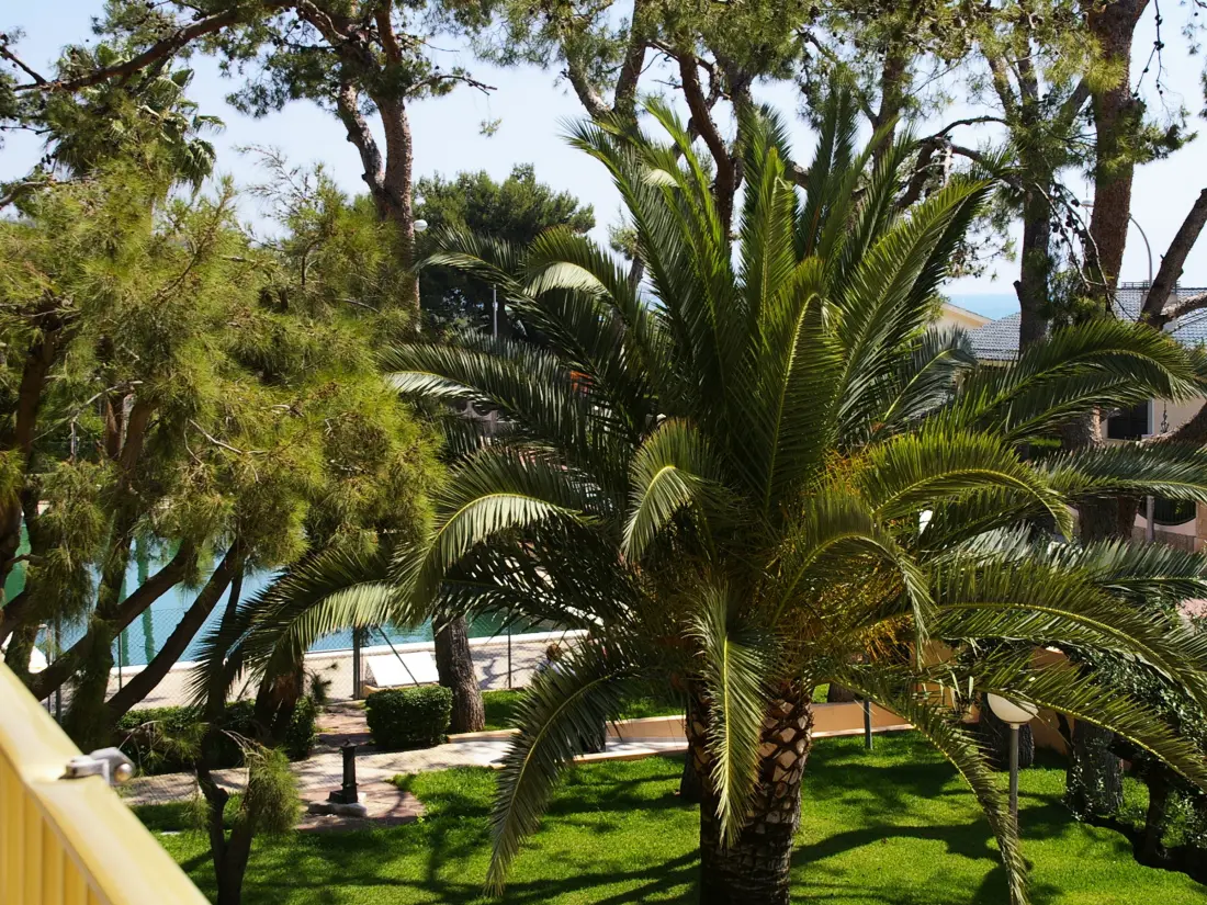 Location de Vacances Benicàssim 46