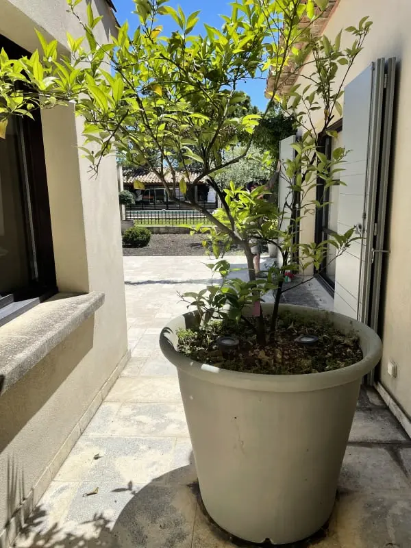 Belle Villa Contemporaine, Piscine Et Grand Jardin