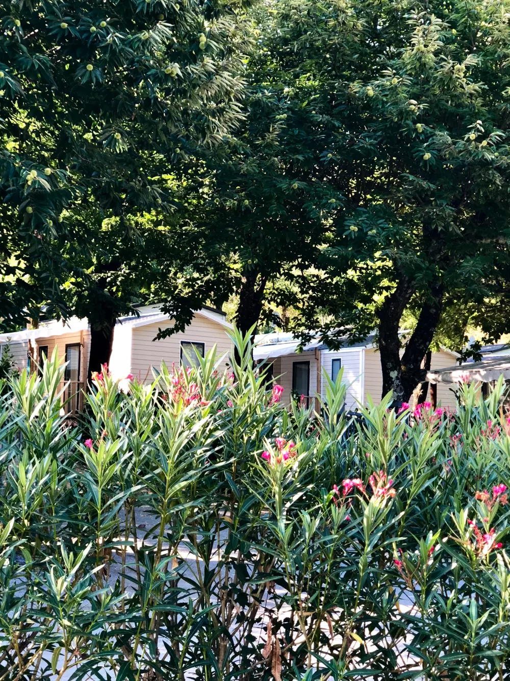 Camping Sunêlia Mazet-Plage 4 étoiles★★★★