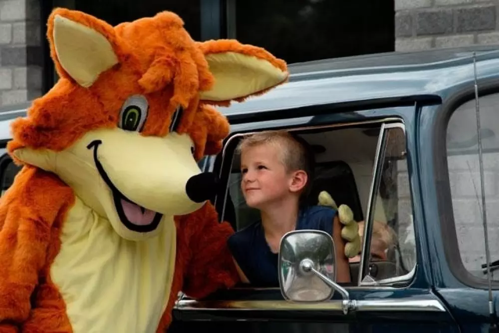 Ardennen Camping Bertrix 4 étoiles★★★★