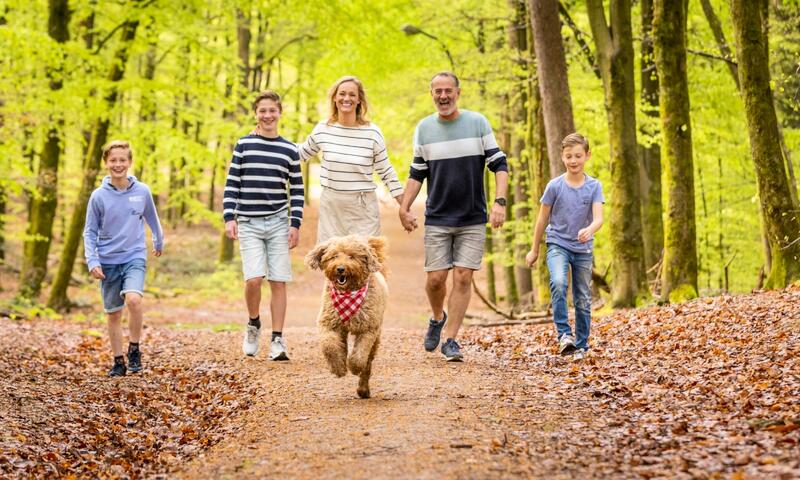 Ardennen Camping Bertrix **** - Bertrix - 7