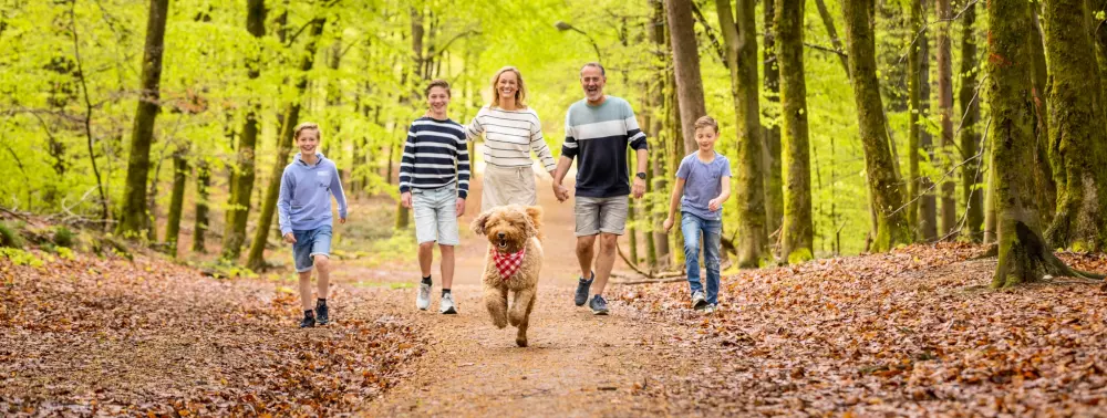 Ardennen Camping Bertrix 4 étoiles★★★★