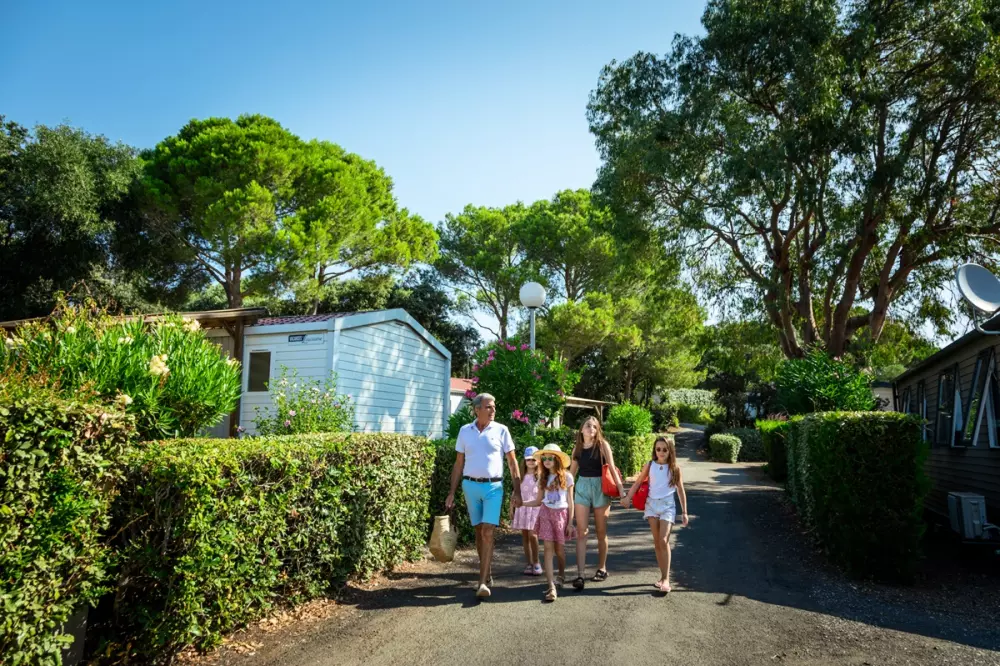 Domaine Sainte Véziane 41 étoiles★