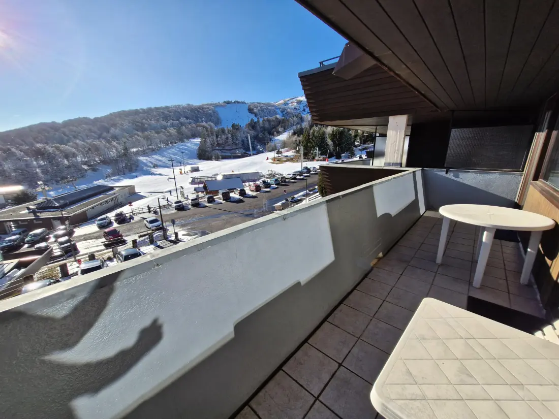 Location de Vacances Besse-et-Saint-Anastaise-Super Besse 170