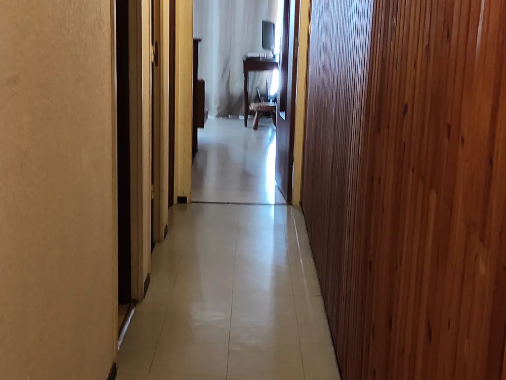 Location de Vacances Besse-et-Saint-Anastaise-Super Besse 36