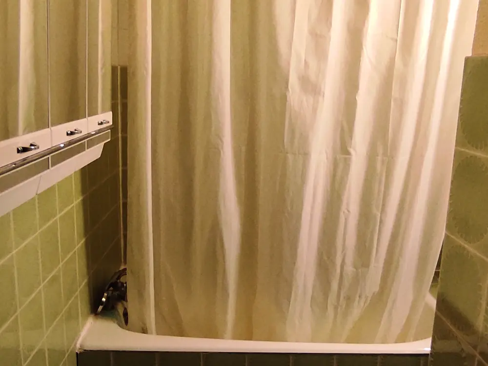 Location de Vacances Besse-et-Saint-Anastaise-Super Besse 36