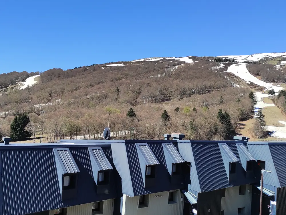 Location de Vacances Besse-et-Saint-Anastaise-Super Besse 36