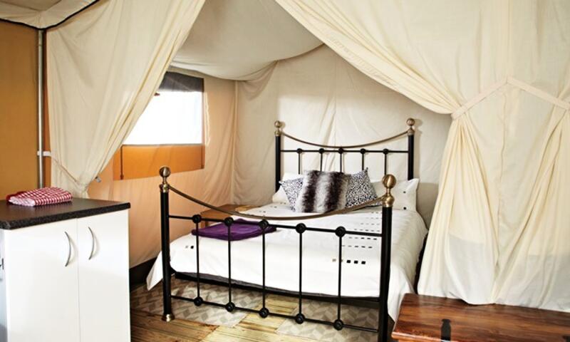 Camping Le Capeyrou - - Beynac-et-Cazenac - 22