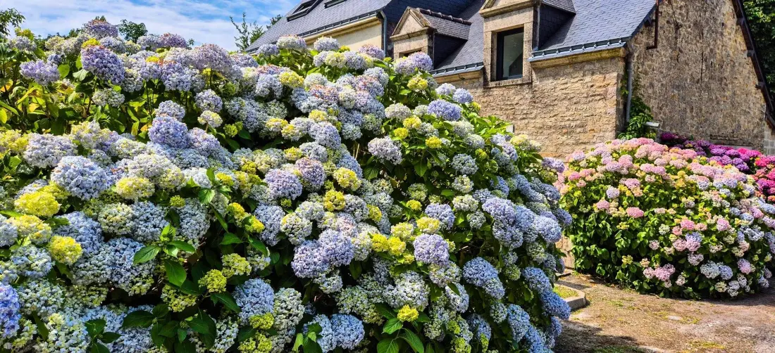 Gîte de France Kerdaniel 3 épis