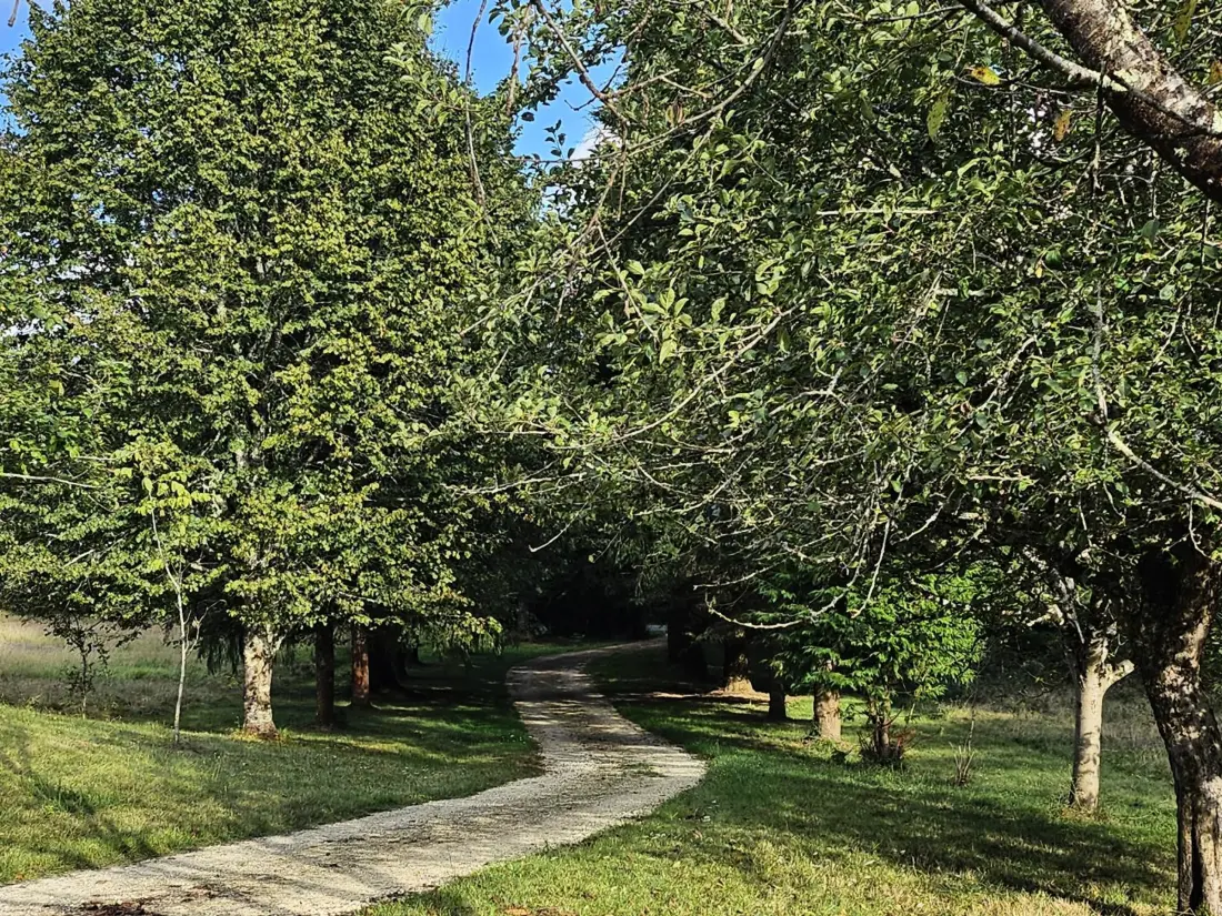 Maison de Vacances BIRON 4