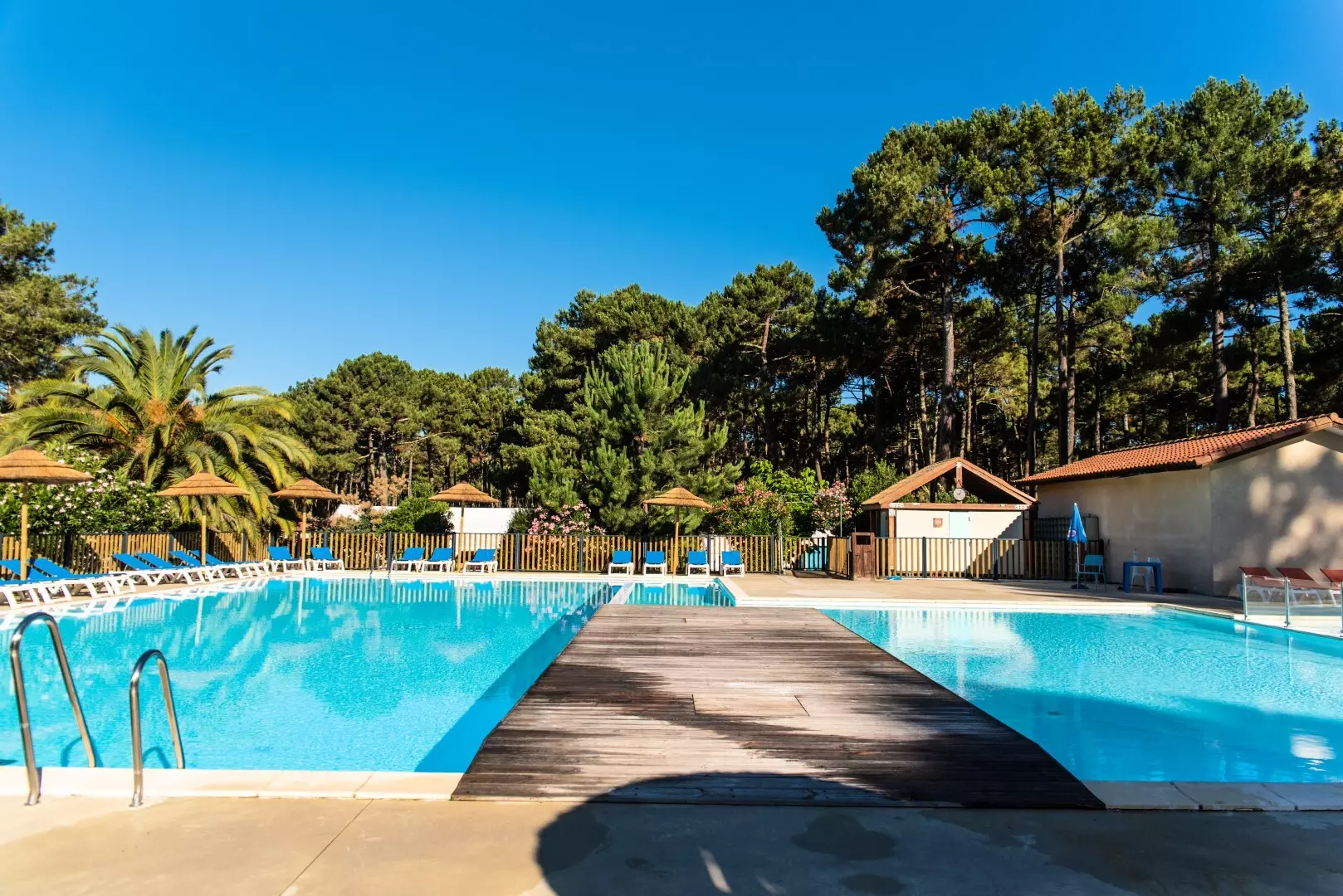 Camping Campéole Le Vivier **** - - Biscarrosse - 1