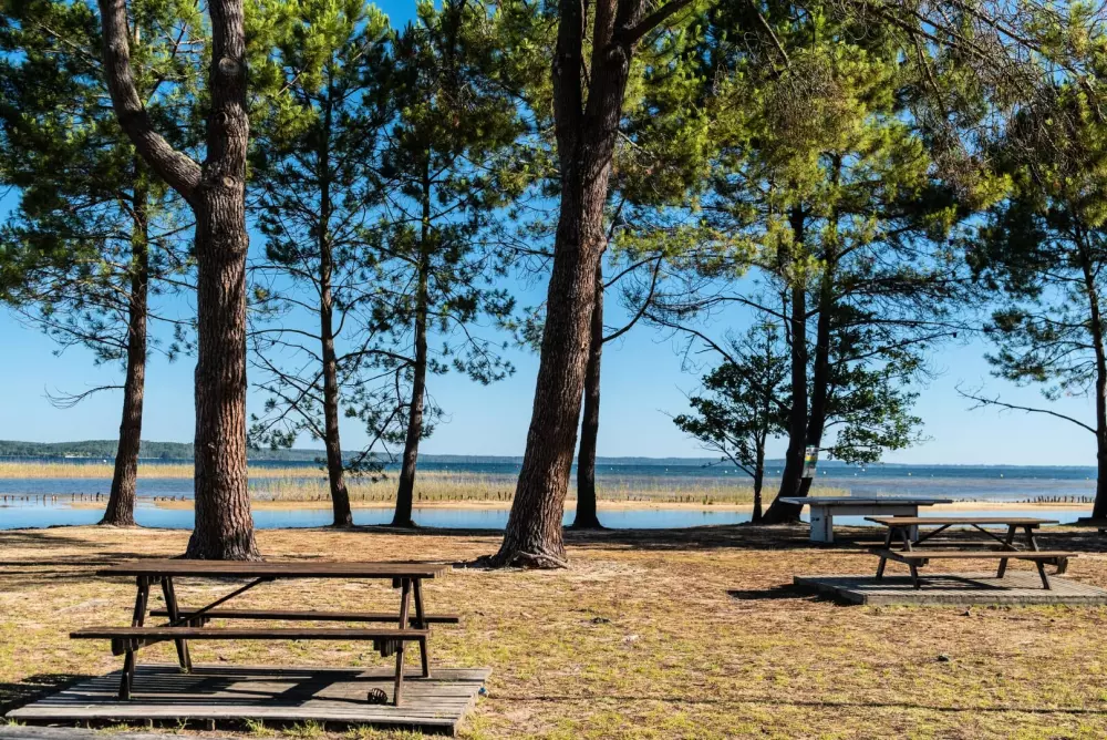 Camping Campéole Navarrosse Plage 4 étoiles★★★★