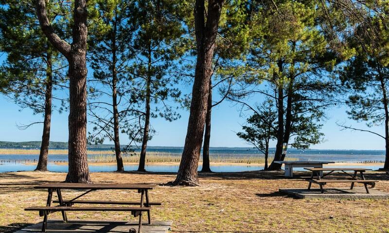 Camping Campéole Navarrosse Plage **** - - Biscarrosse - 23