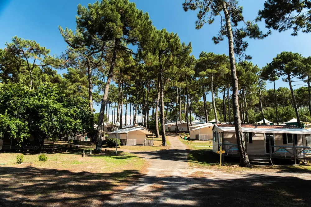 Camping Club Plage Sud 4 étoiles★★★★ - MS Vacances