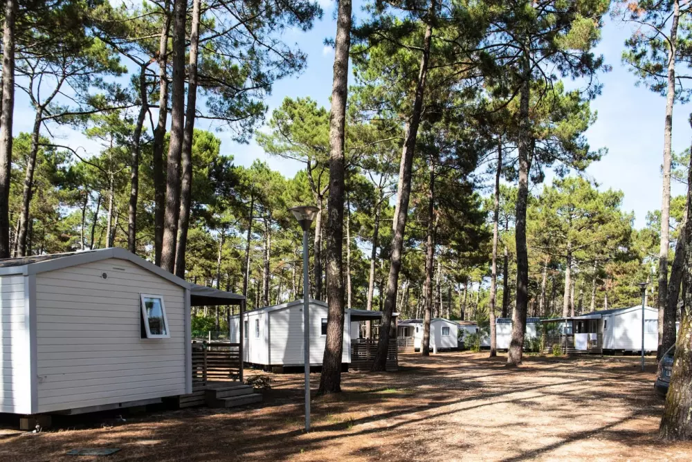 Camping Le Vivier 4 étoiles★★★★