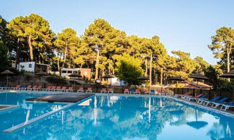 Camping Campeole Le Vivier **** - - Biscarrosse - 1
