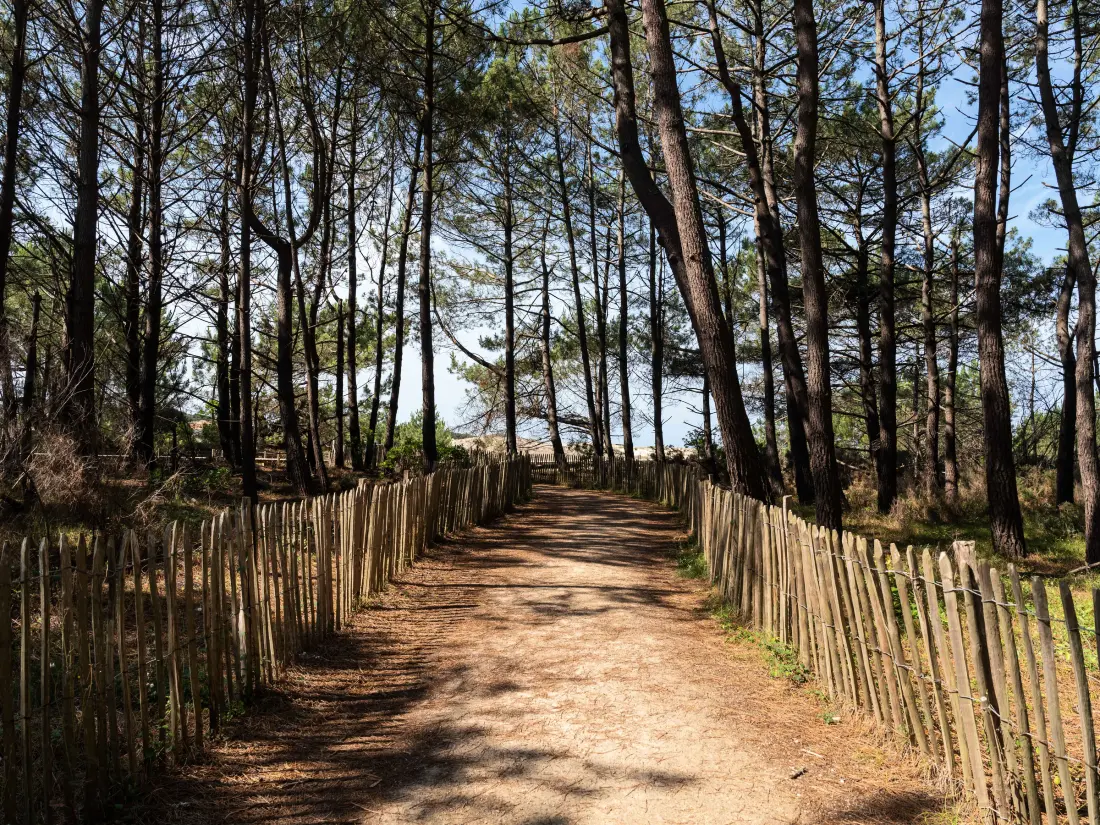 Location de Vacances Biscarrosse Plage 69