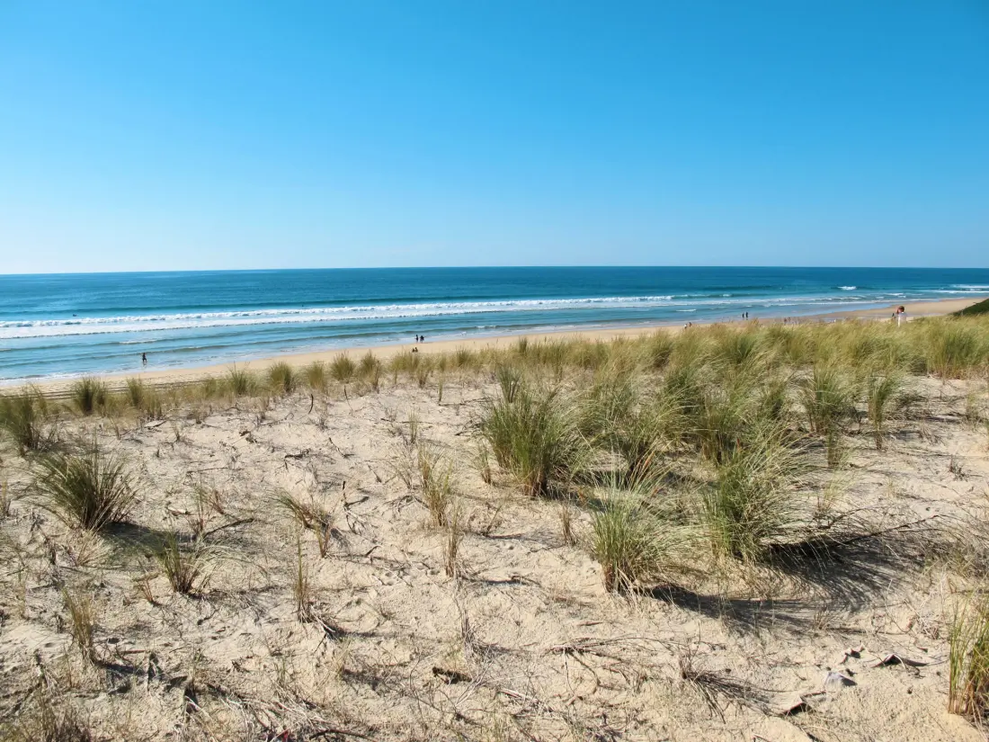 Résidence Résidence Belle Dune