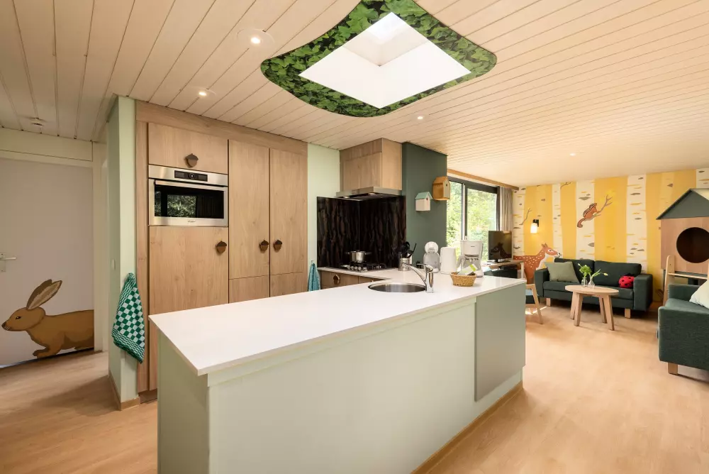 Domaine Bispinger Heide Center Parcs