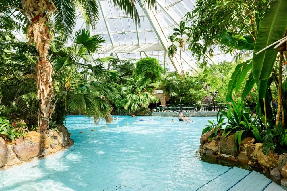 Domaine Bispinger Heide Center Parcs