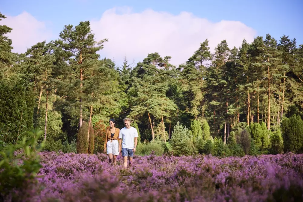 Domaine Bispinger Heide Center Parcs