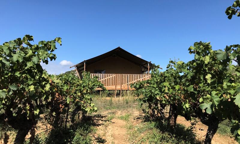 Camping l'Olivigne by Tendi *** - - Bize-Minervois - 17