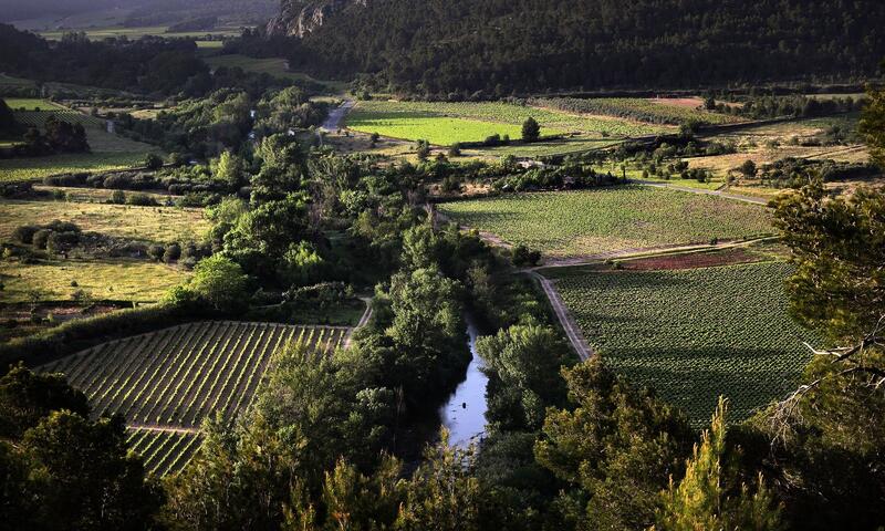 Flower Camping Olivigne *** - Bize-Minervois - 1