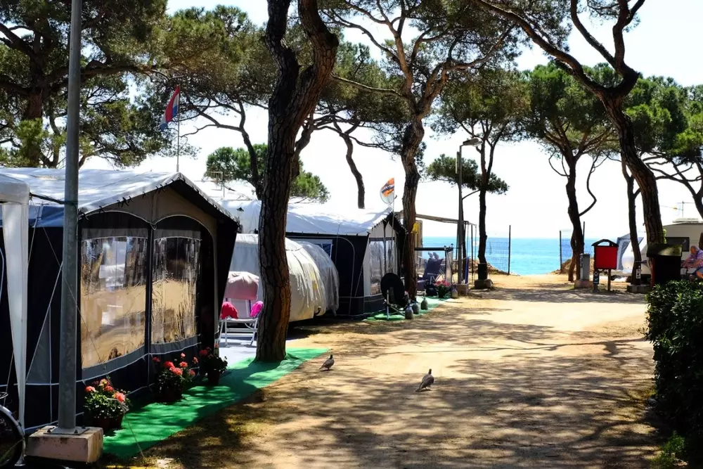 Alannia El Pinar  3 étoiles★★★