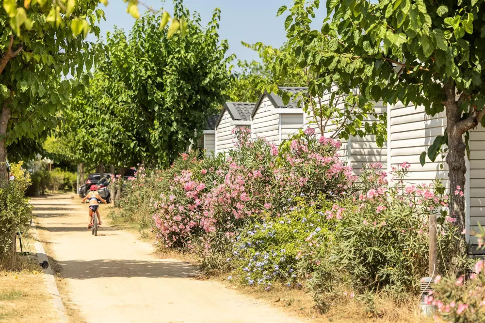 Camping Alannia El Pinar