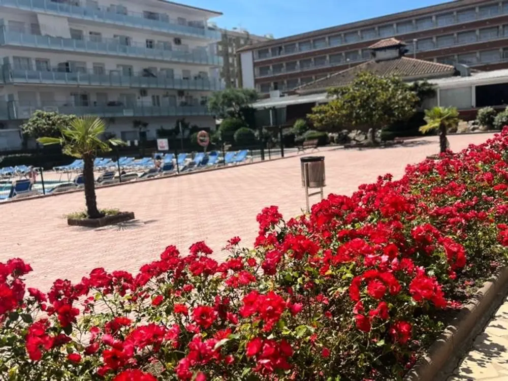 Location de Vacances Blanes 20