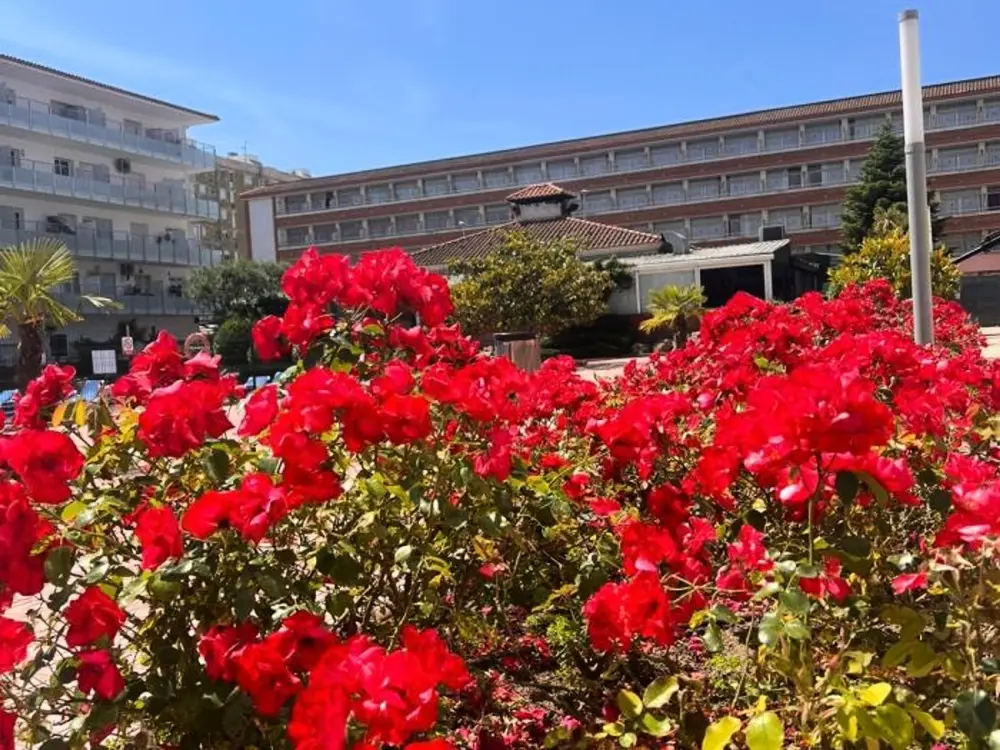 Location de Vacances Blanes 48