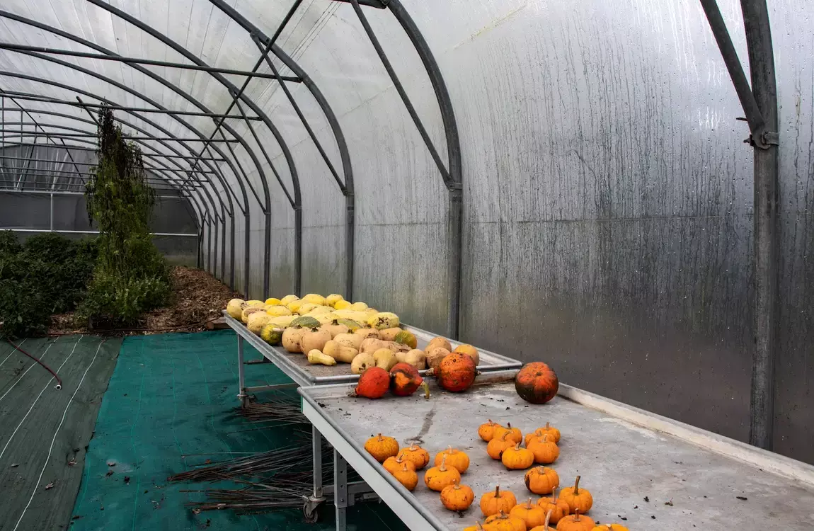 Tiny House : Jardins du Puits - de Deauville à Honfleur - 3