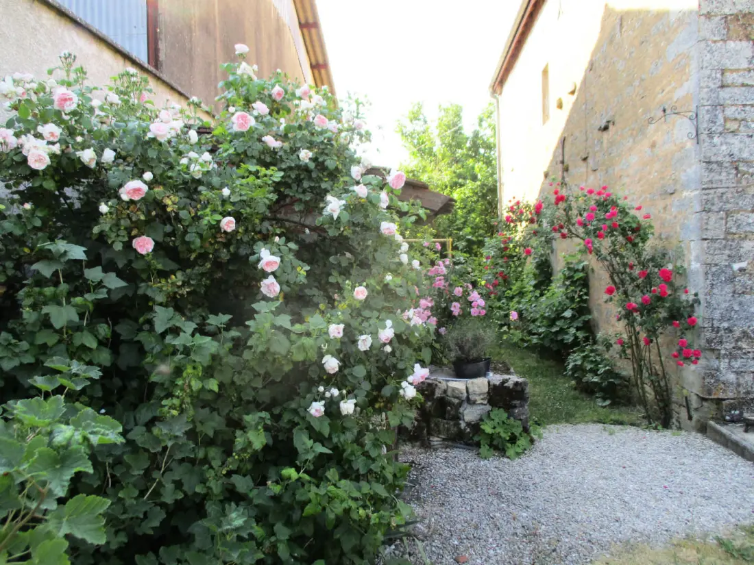 Gîte de France Gîte "antre-chats" 4 épis